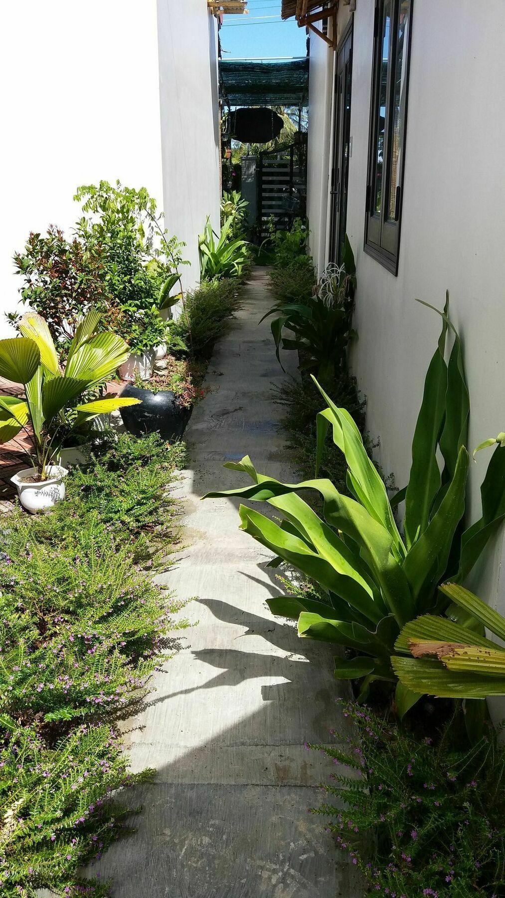 Lido Villa Hoi An Dış mekan fotoğraf