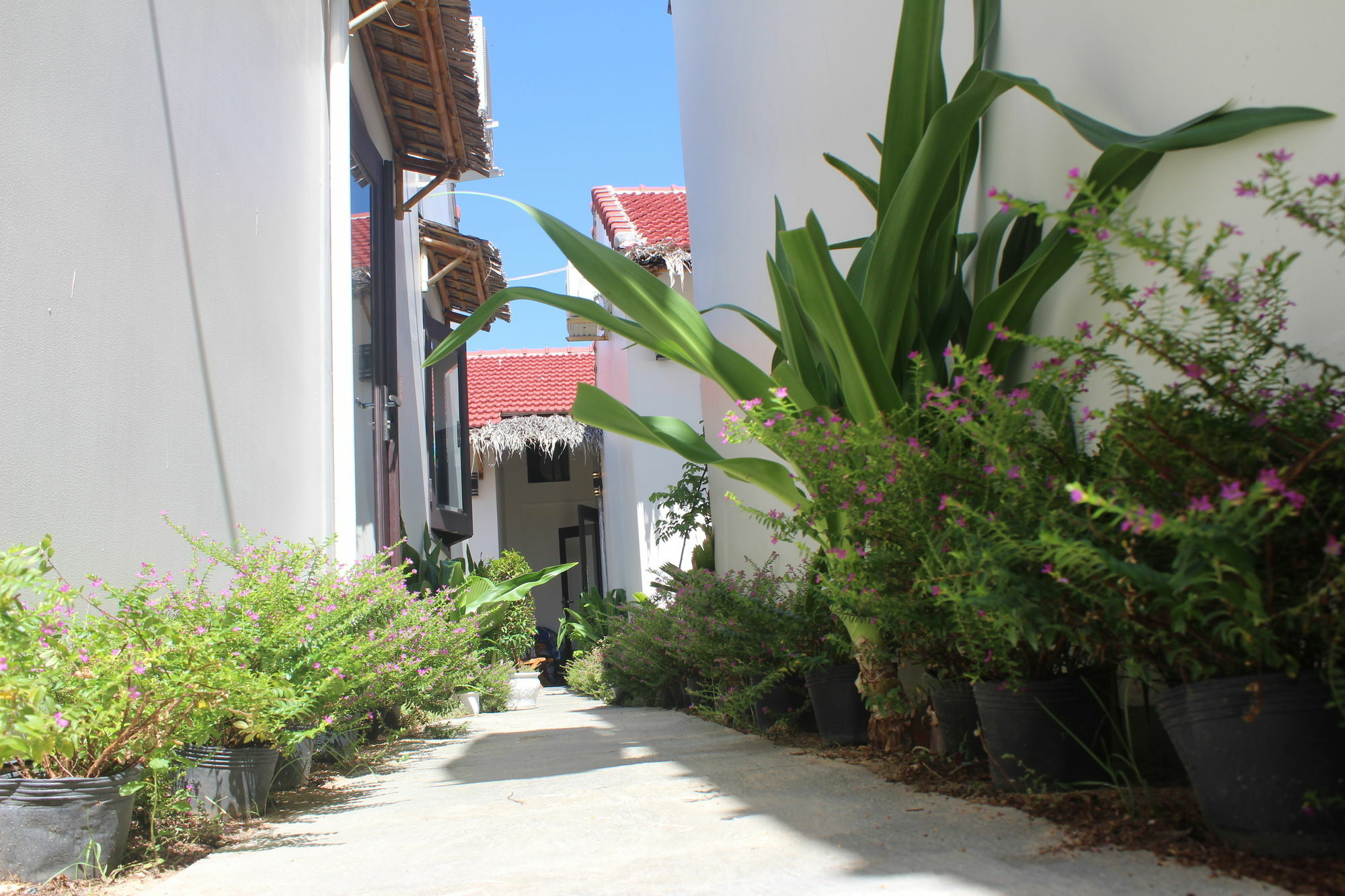 Lido Villa Hoi An Dış mekan fotoğraf
