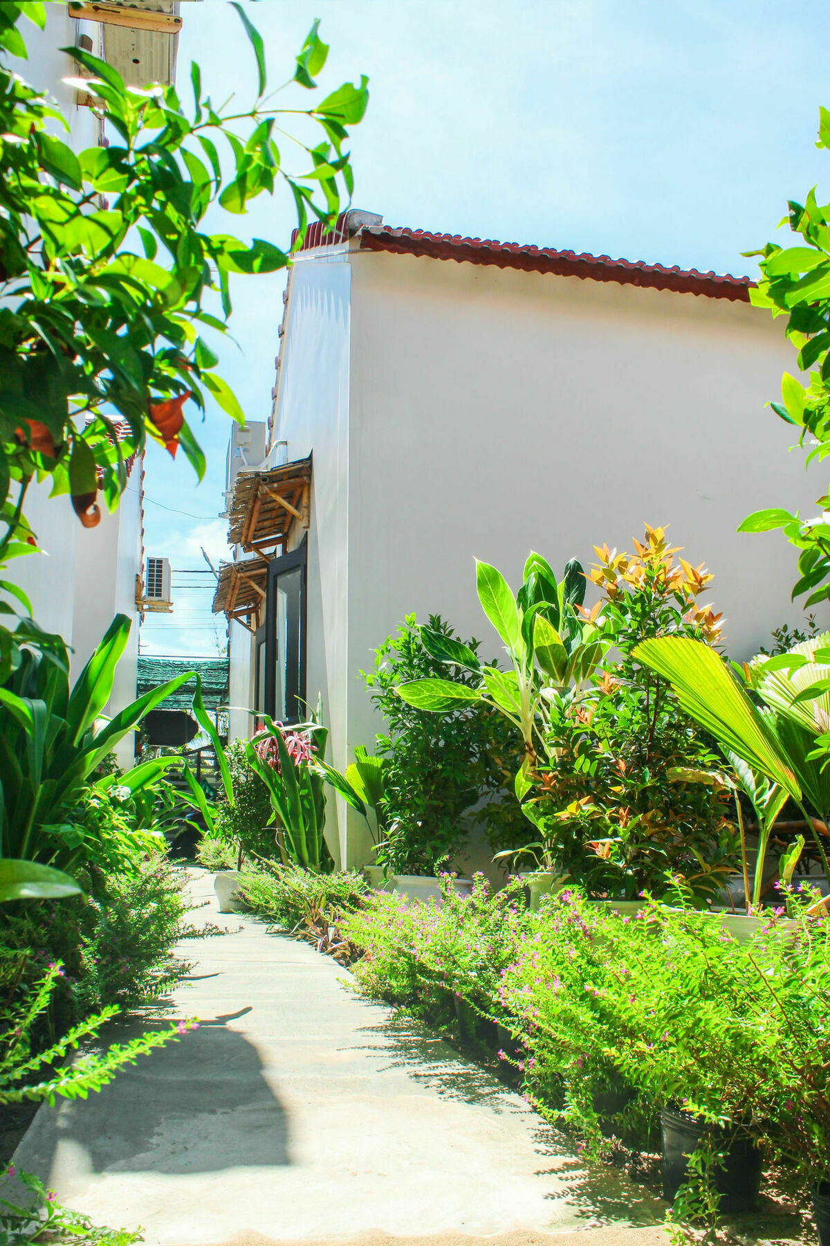 Lido Villa Hoi An Dış mekan fotoğraf