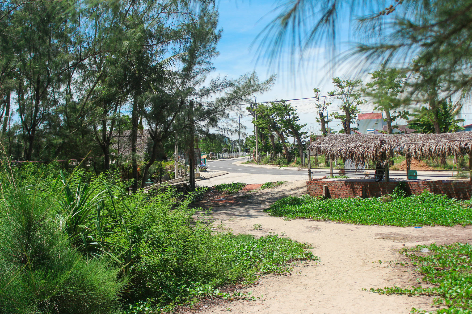 Lido Villa Hoi An Dış mekan fotoğraf
